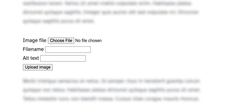 Inline image uploader form embedded in blog post