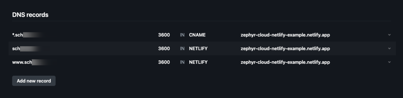 DNS records with wildcard CNAME