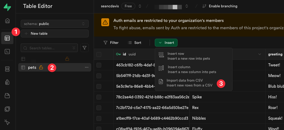 Import CSV into Supabase database