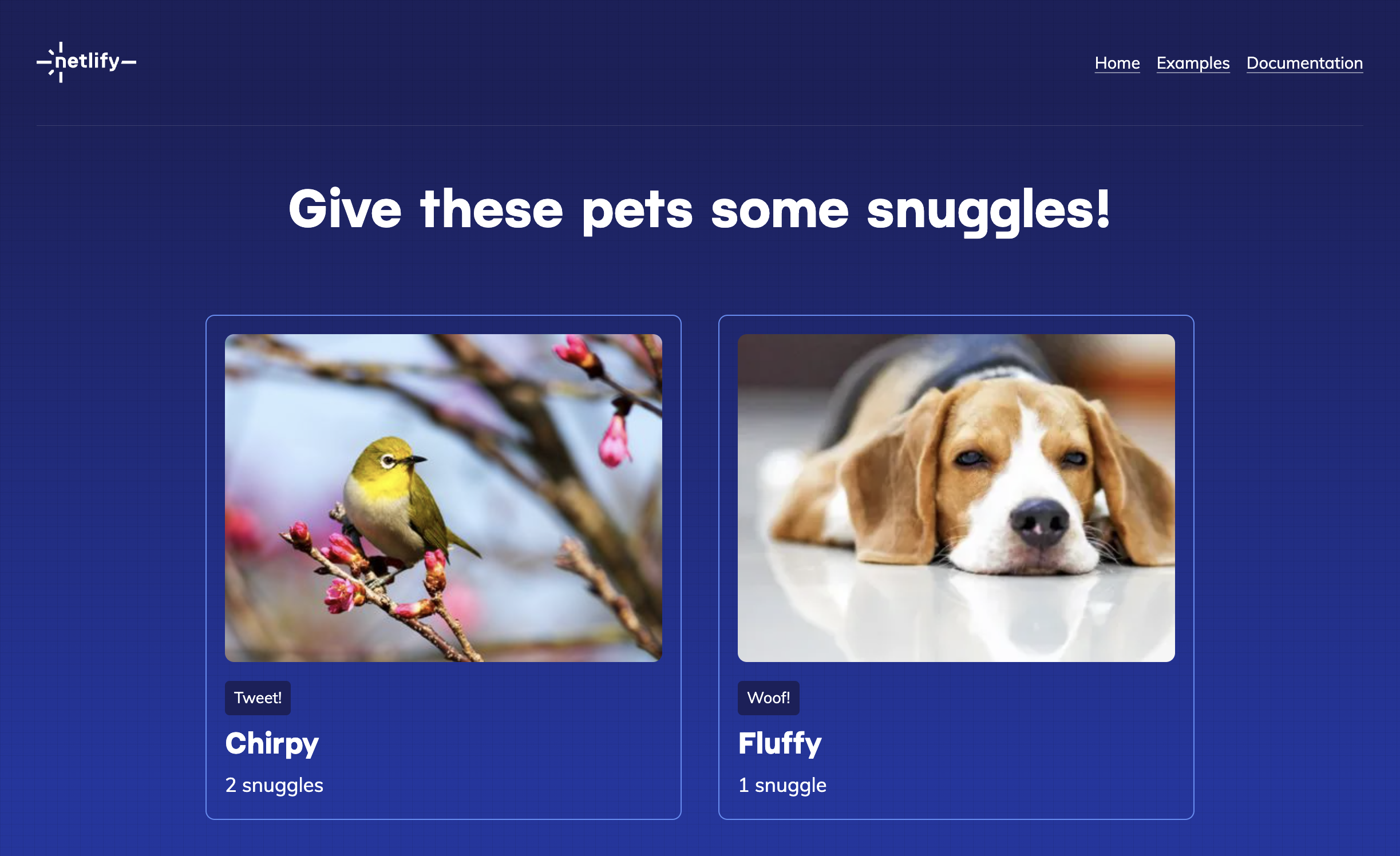 Pets to snuggle on the home page