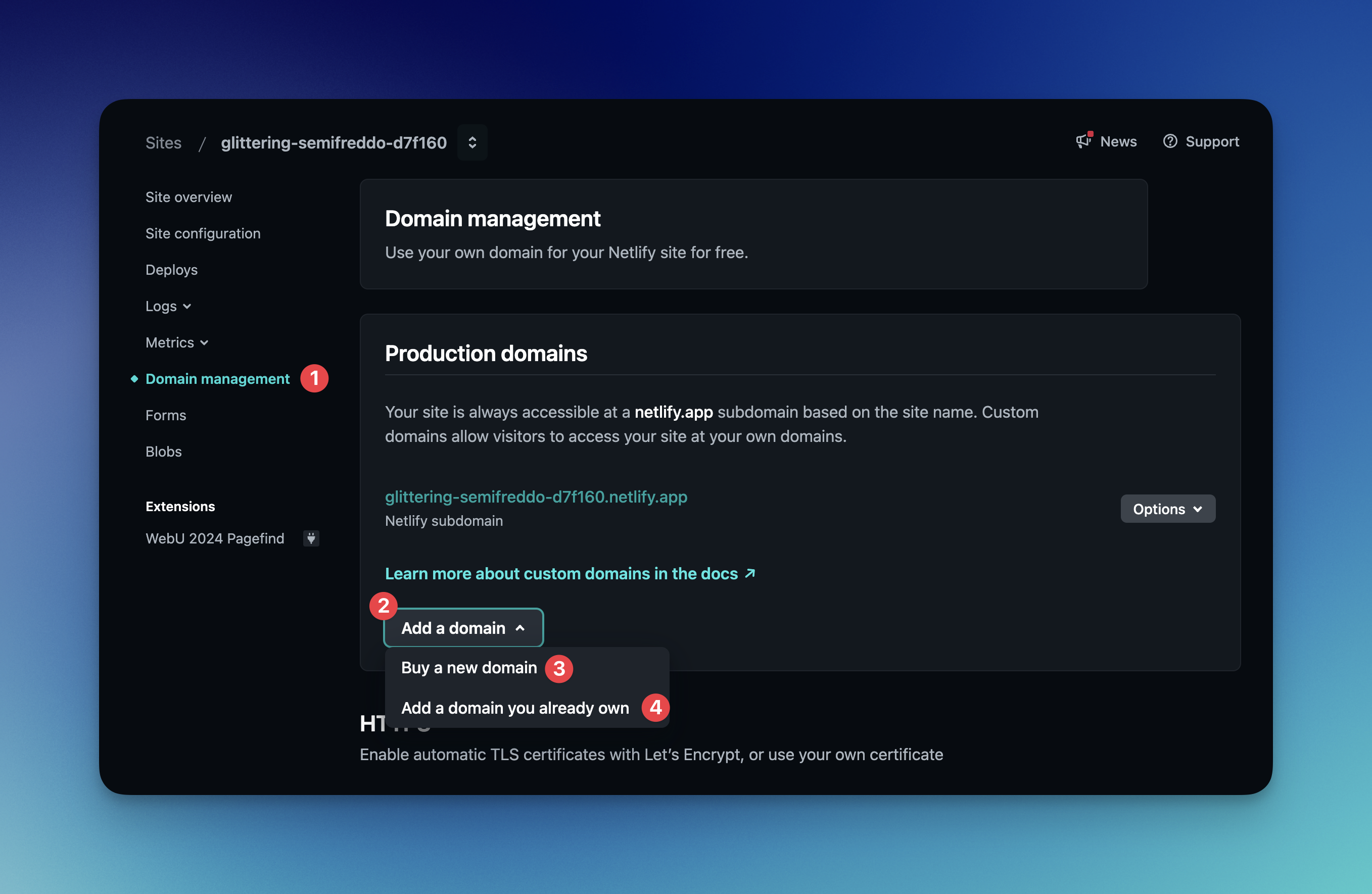 Netlify domain management