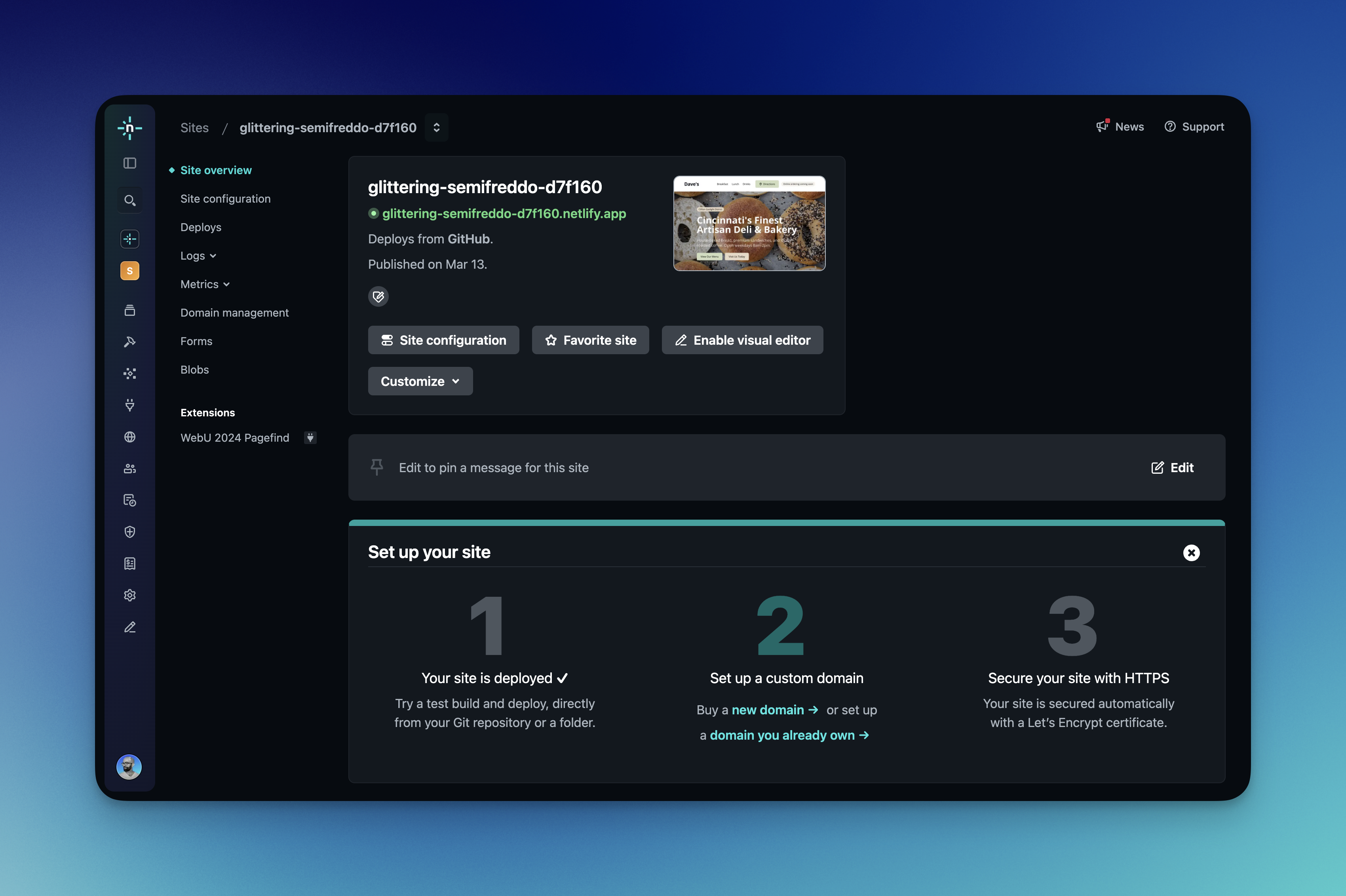 Netlify site overview